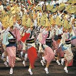 阿波踊り